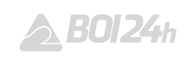 logo-boi
